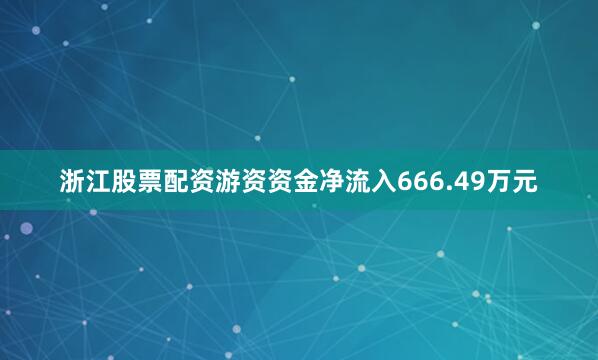 浙江股票配资游资资金净流入666.49万元
