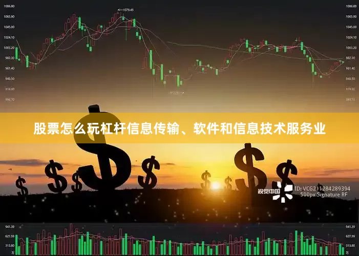 股票怎么玩杠杆信息传输、软件和信息技术服务业
