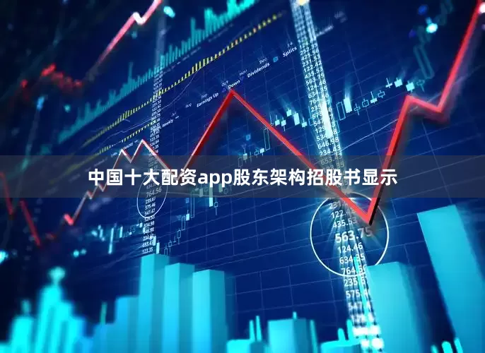 中国十大配资app　　股东架构　　招股书显示
